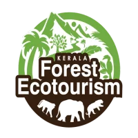 Kerala Forest Ecotourism